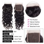 Water Wave 4×4 Lace Closure