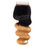 1B/27 Body Wave 3 Bundles With Closure