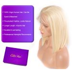 613 Straight Bob 4×4 Lace Front Wig (2)