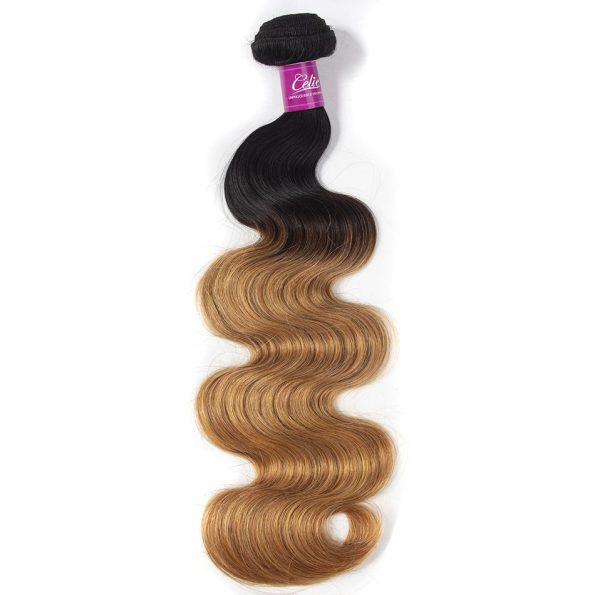 celie hair ombre body wave 1b 27
