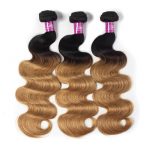 1B/27 Body Wave 3 Bundles With Closure