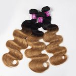 1B/27 Body Wave 3 Bundles With Closure