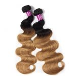 1B/27 Body Wave 3 Bundles With Closure