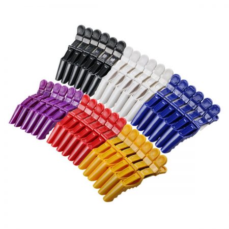 Hair Clips (1)