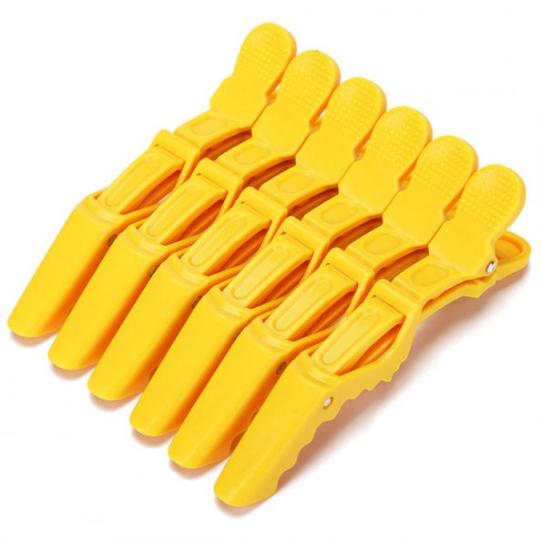 Hair Clips (2)