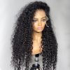 deep wave 13×6 full frontal pull go wig