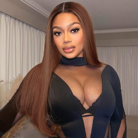 ombre brown wig with dark roots glueless wig (1)